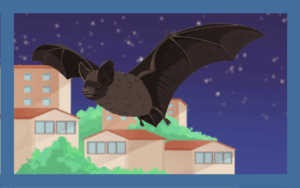 アブラコウモリの生態＆被害の実態！駆除方法を丁寧に解説