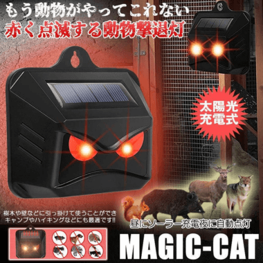 MAJIC-CAT｜makotoya