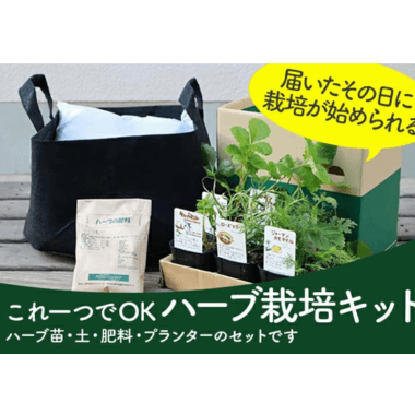 すべてそろった栽培キット｜ポタジェガーデン
