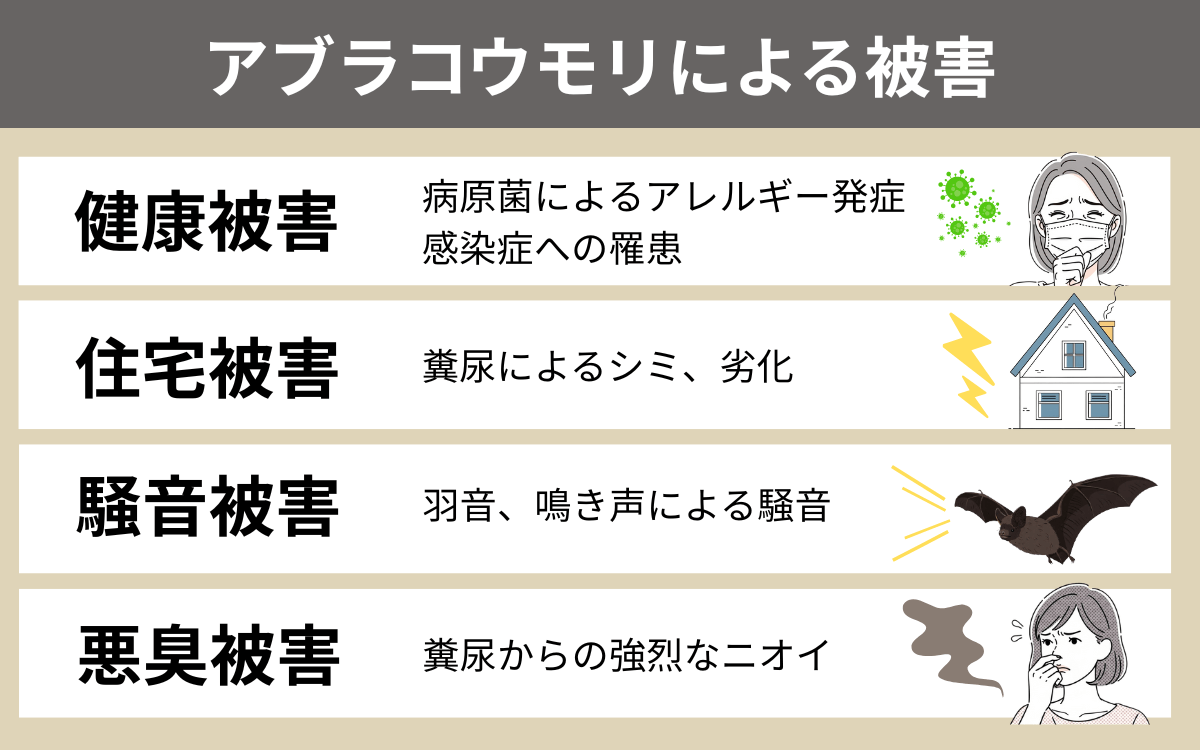 アブラコウモリによる被害