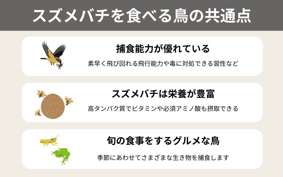 スズメバチを食べる鳥の共通点