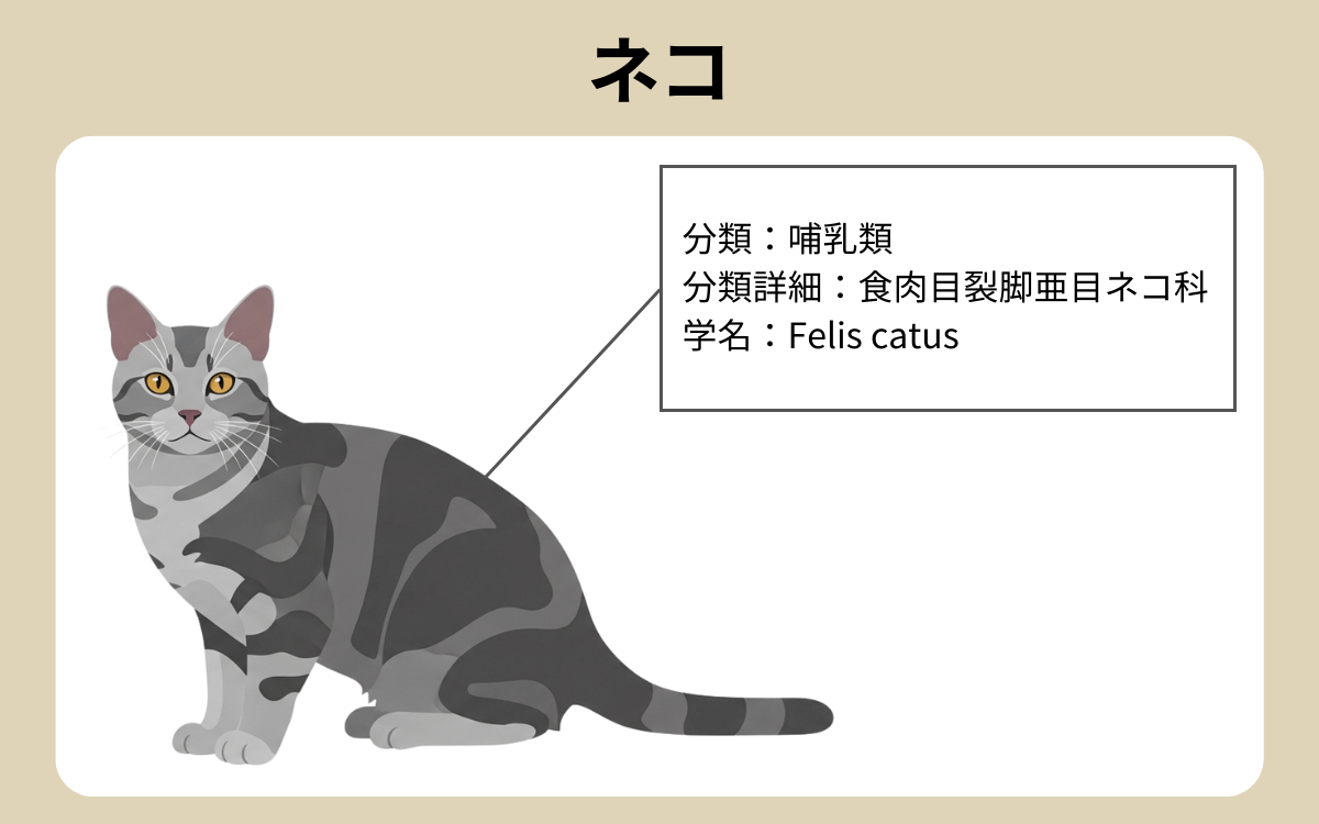 ネコ