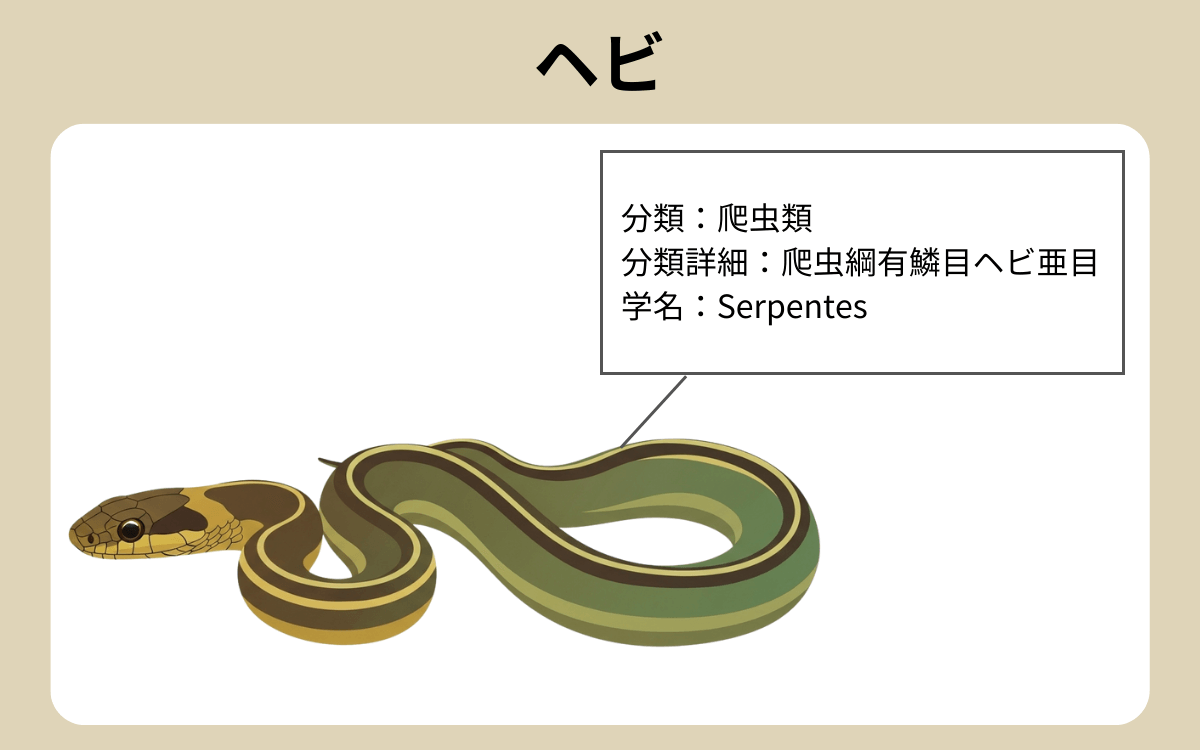 ヘビ