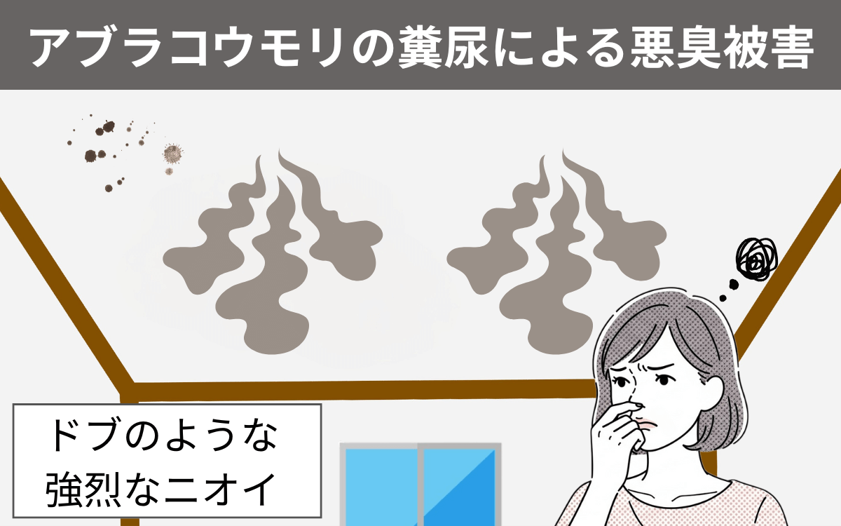 悪臭がひどくなる