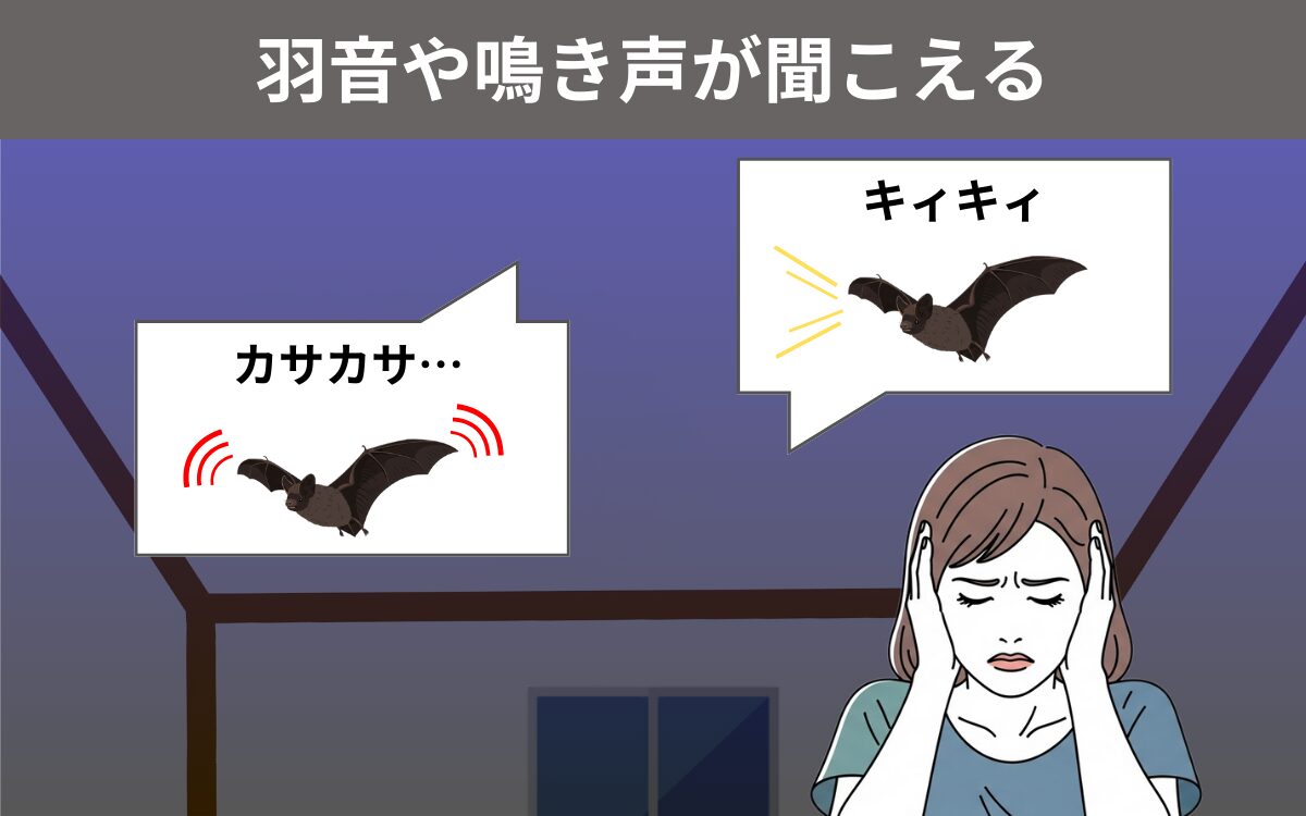 「カサカサ」「キィキィ」という音が聞こえる