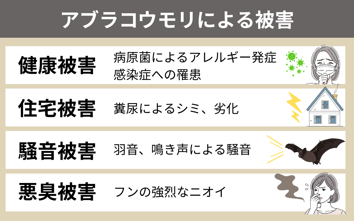 アブラコウモリが及ぼす被害