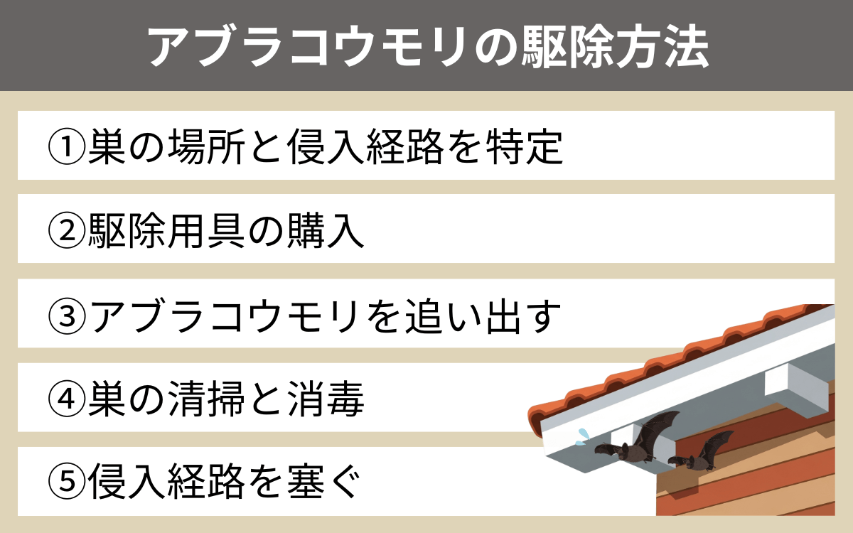 アブラコウモリが棲みついた場合の駆除方法