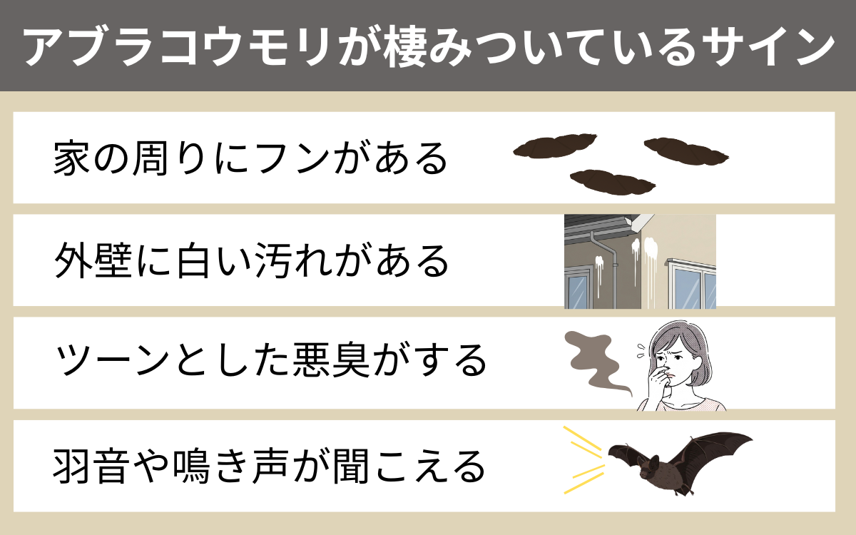 アブラコウモリが棲みついているサイン