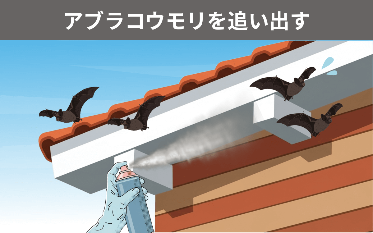アブラコウモリを追い出す