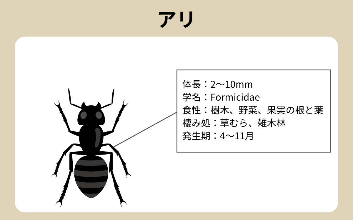 アリ