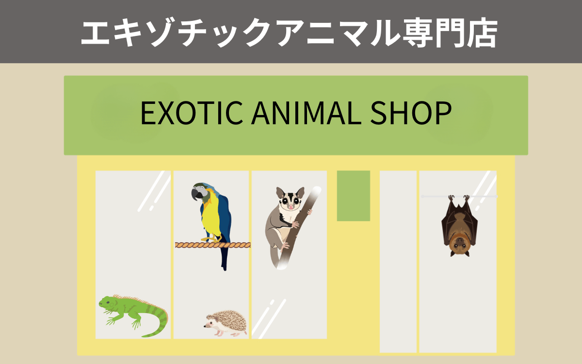 エキゾチックアニマル専門店