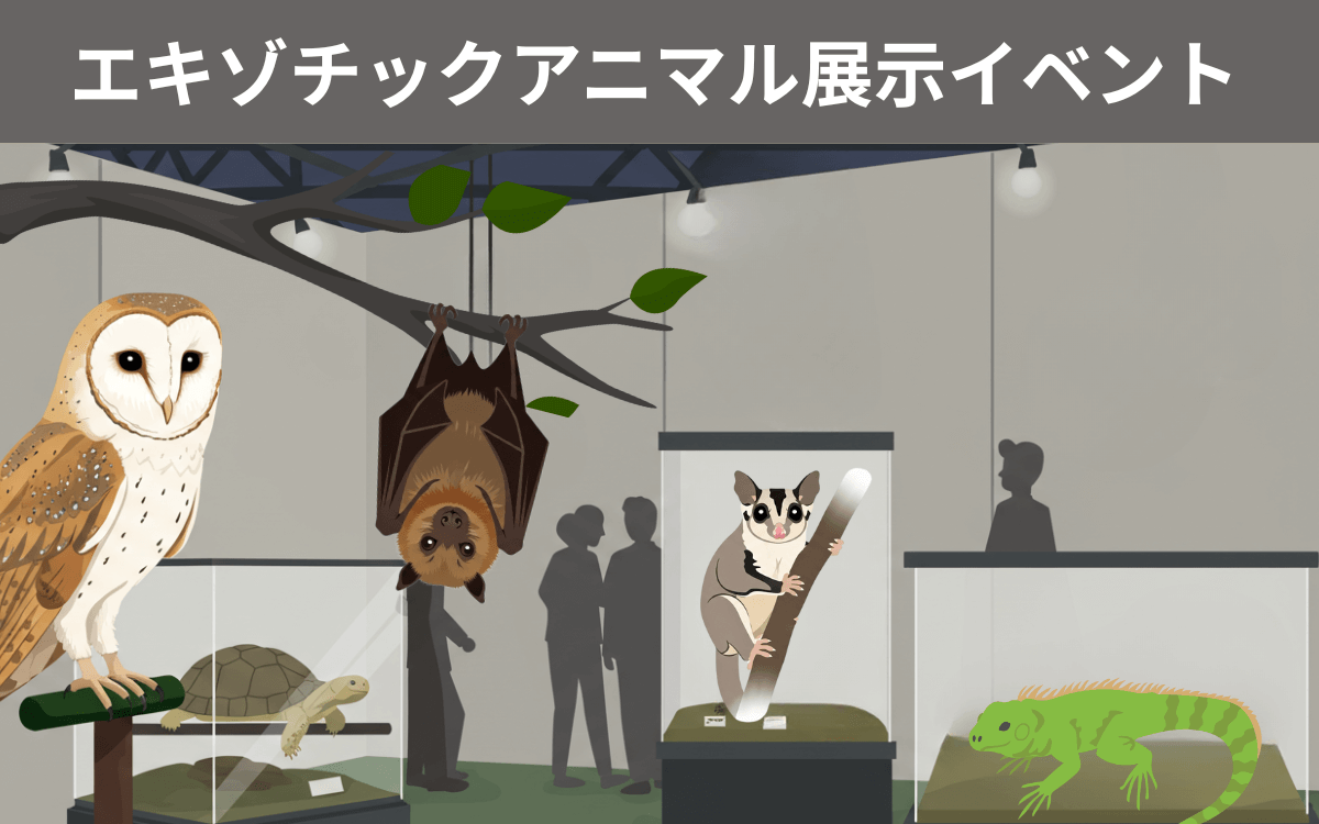 エキゾチックアニマル展示イベント