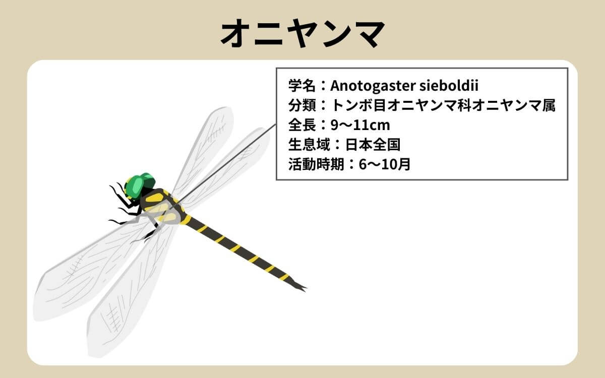 オニヤンマ