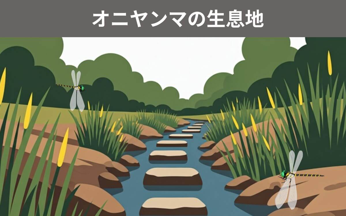 オニヤンマがよく見られる時期と生息域