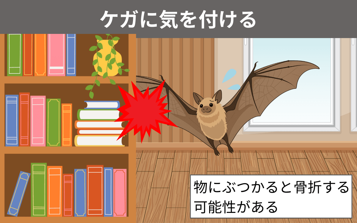 ケガに気を付ける