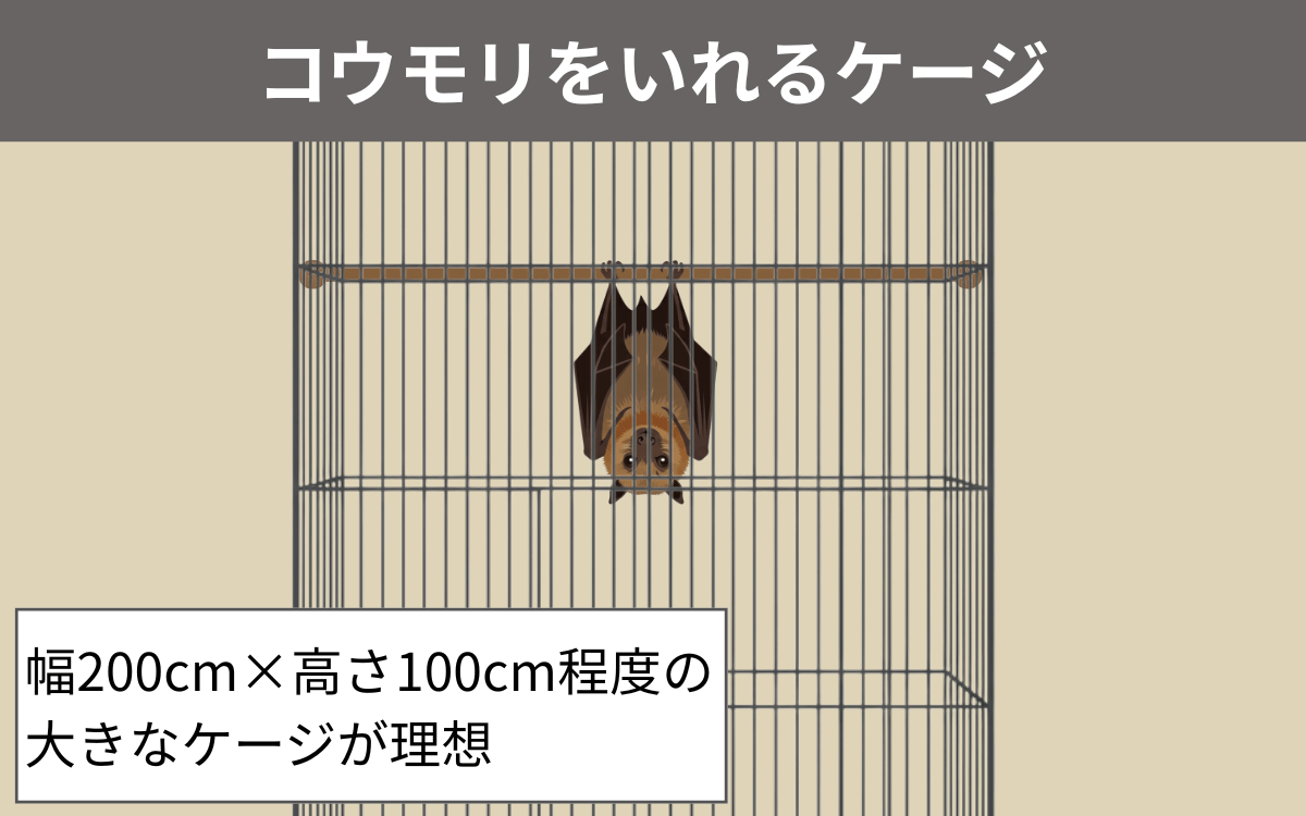 ケージ