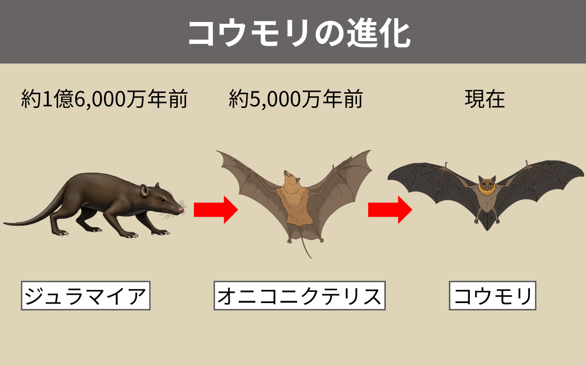 コウモリの進化の歴史