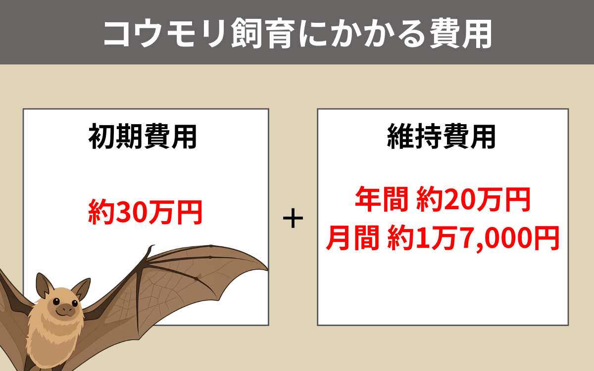 コウモリの飼育維持費は年間20万円以上