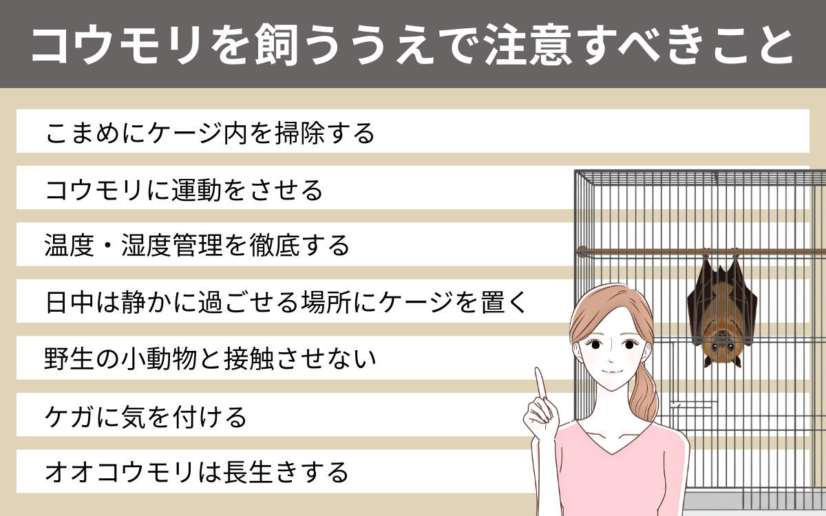 コウモリを飼ううえで注意すべきこと