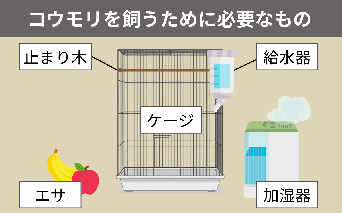 コウモリを飼うために必要なもの