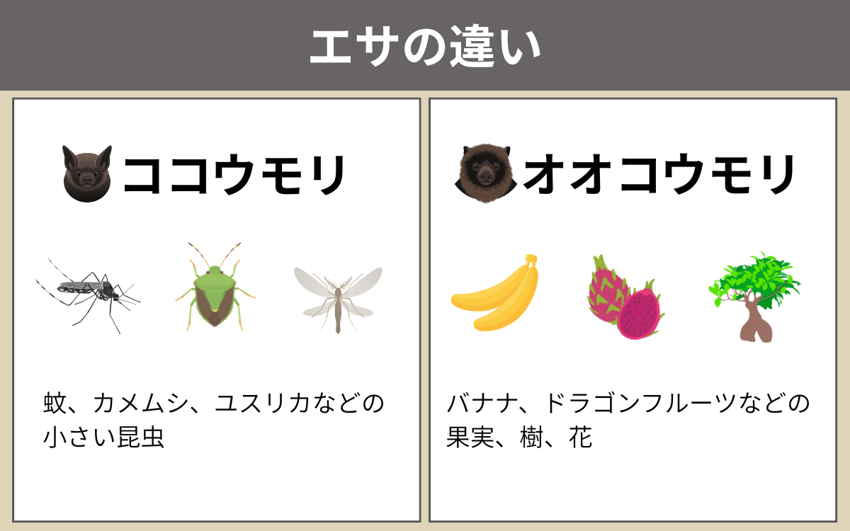 ココウモリとオオコウモリのエサの違い