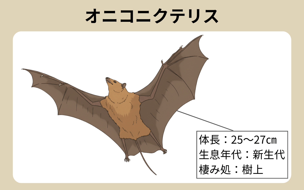 オニコニクテリス