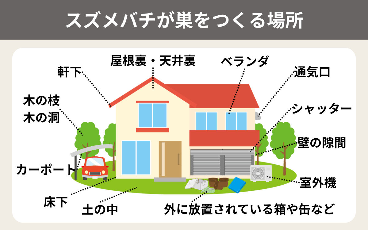 スズメバチが巣をつくる場所