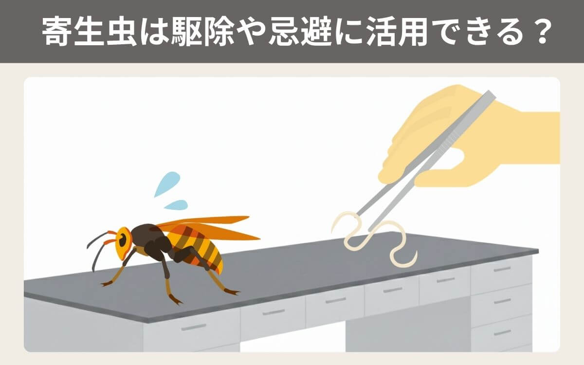 スズメバチの駆除や忌避に天敵は活用できる？