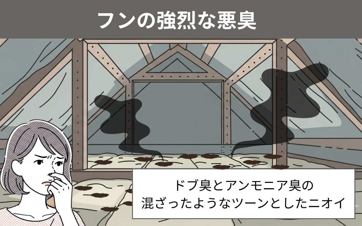 ツーンとした悪臭がする