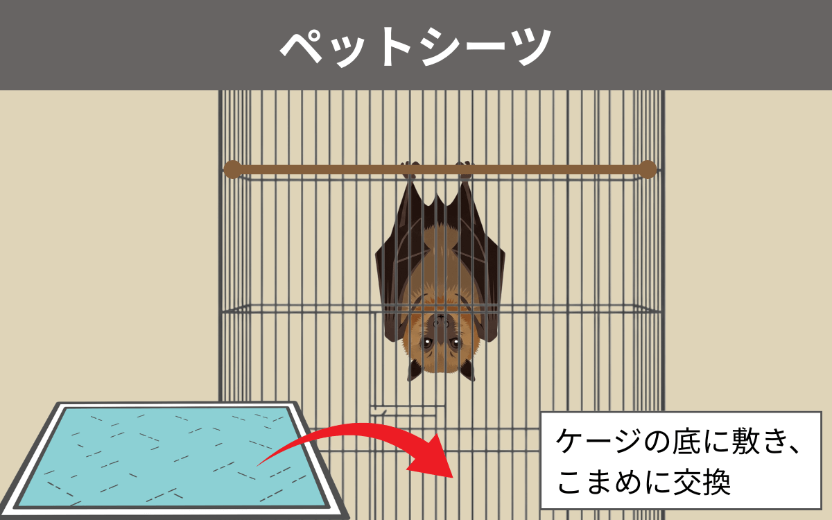ペットシーツ