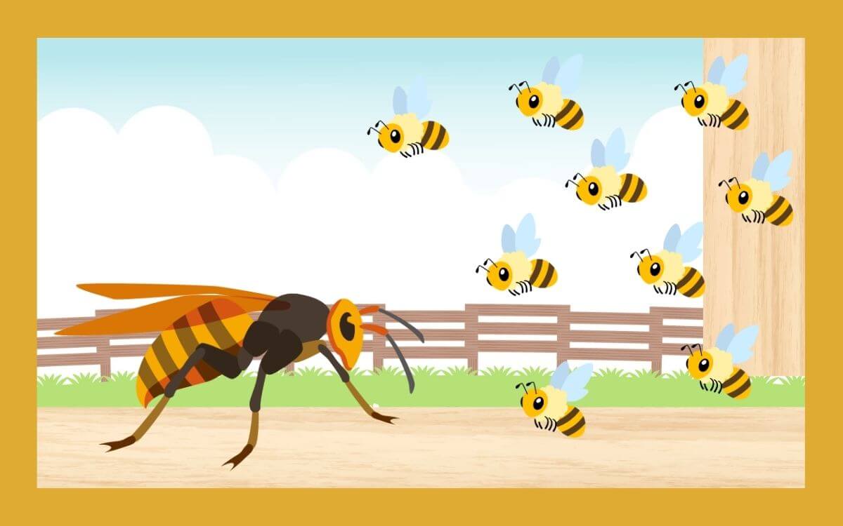 確認用　ミツバチ様 楽天市場】交配 ミツバチの通販