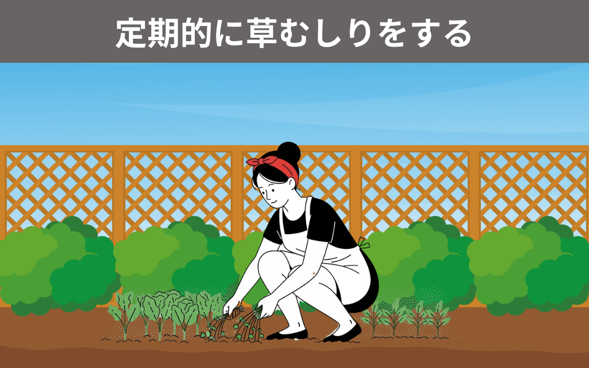 定期的に草むしりをする