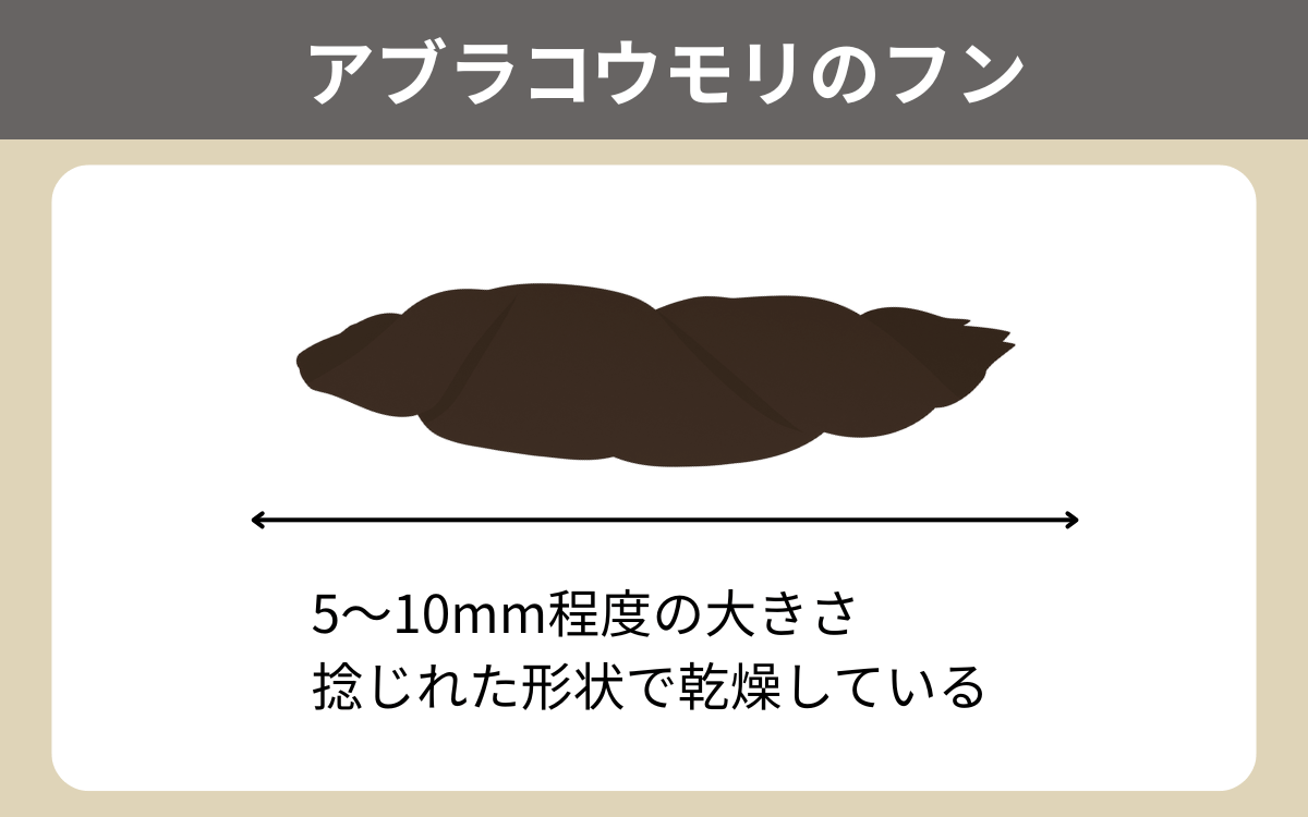 家の周りにフンがある