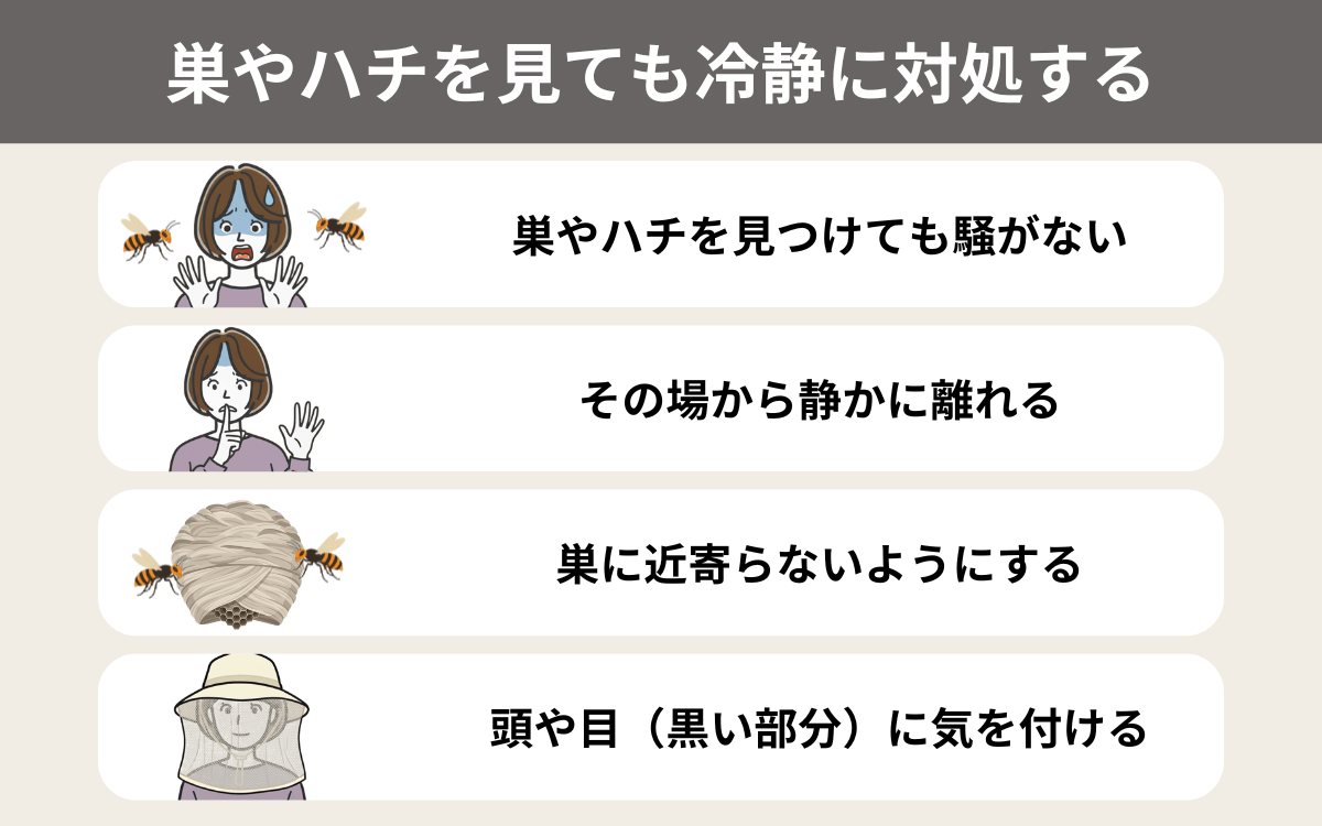 巣やハチを見ても冷静に対処する