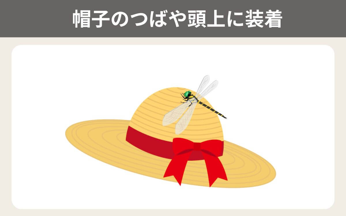 帽子のつばや頭上に装着