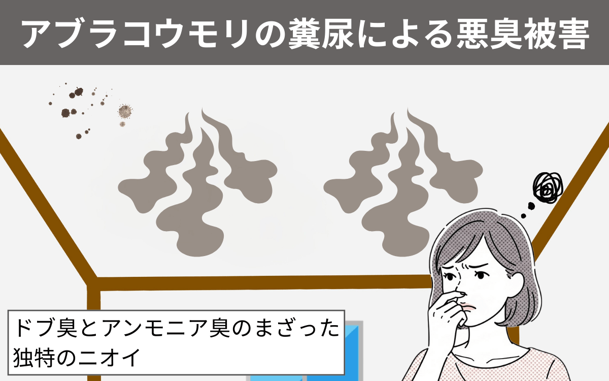 悪臭被害