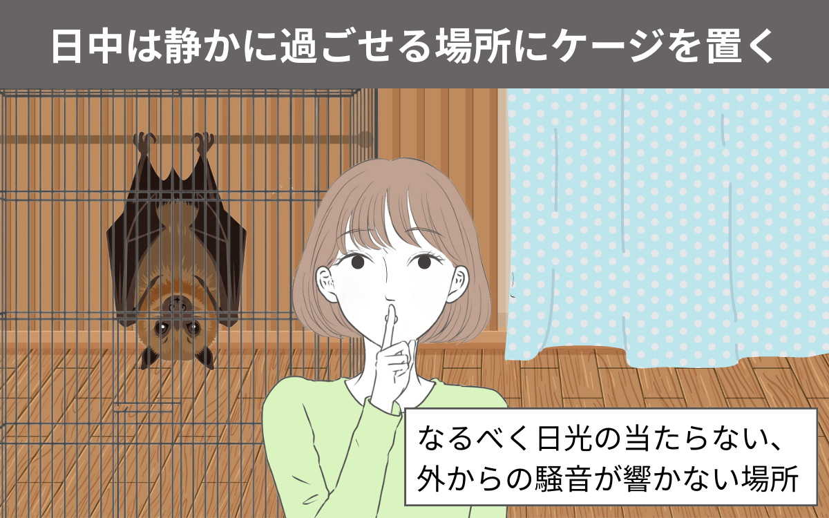 日中は静かに過ごせる場所にケージを置く