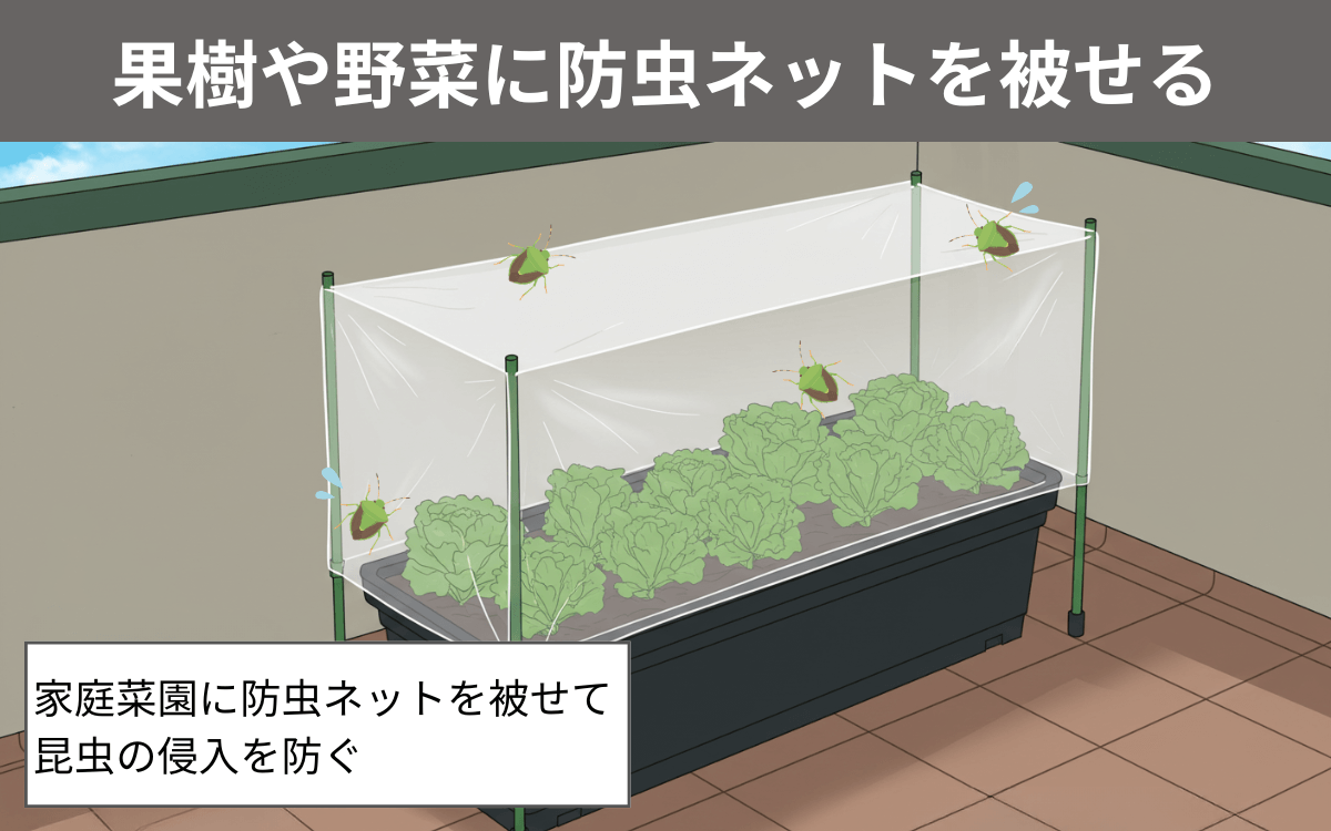 果樹や野菜に防虫ネットを被せる