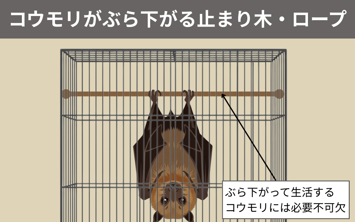 止まり木・ロープ