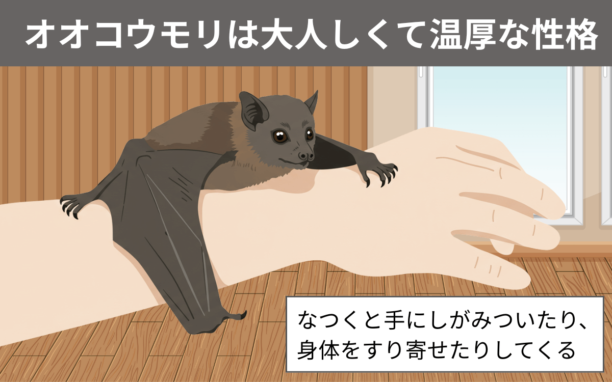 温厚な性格で人になつく