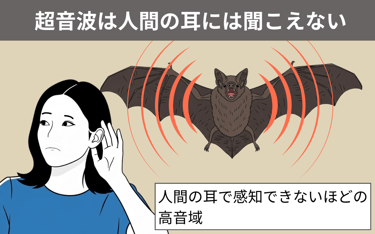 超音波は人間の耳に聞こえない