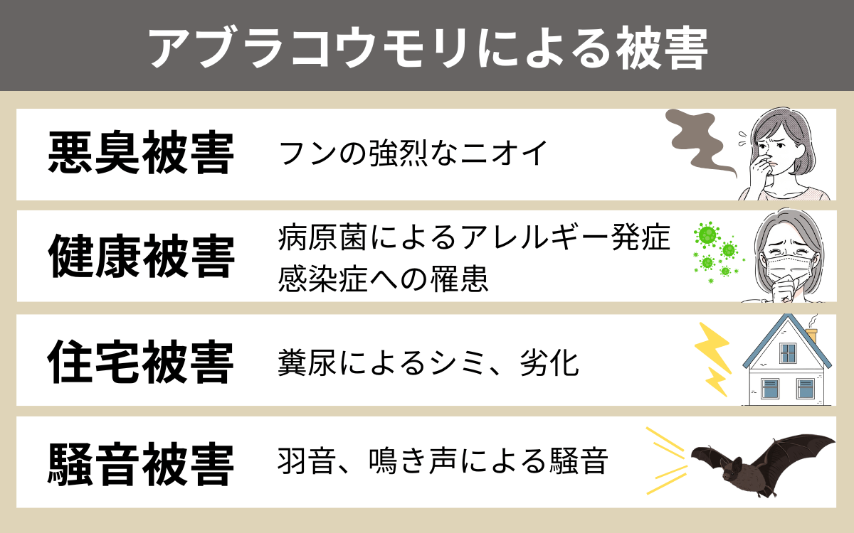 アブラコウモリによる被害