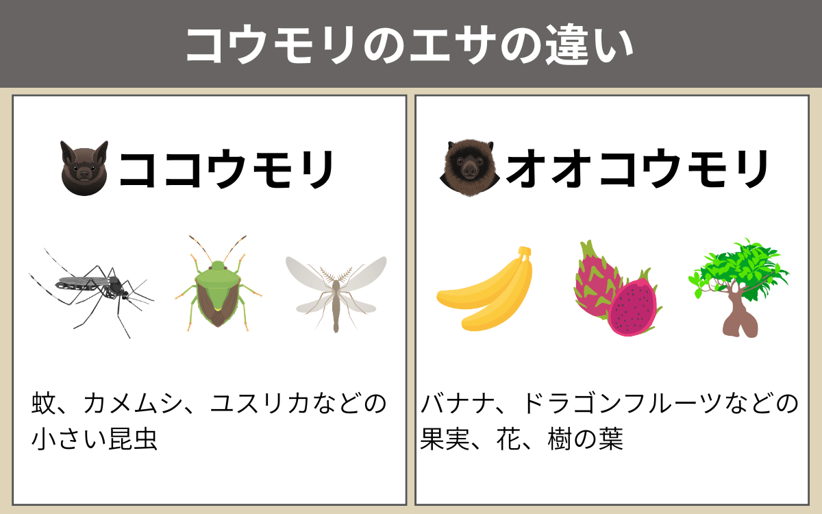 コウモリのエサの違い
