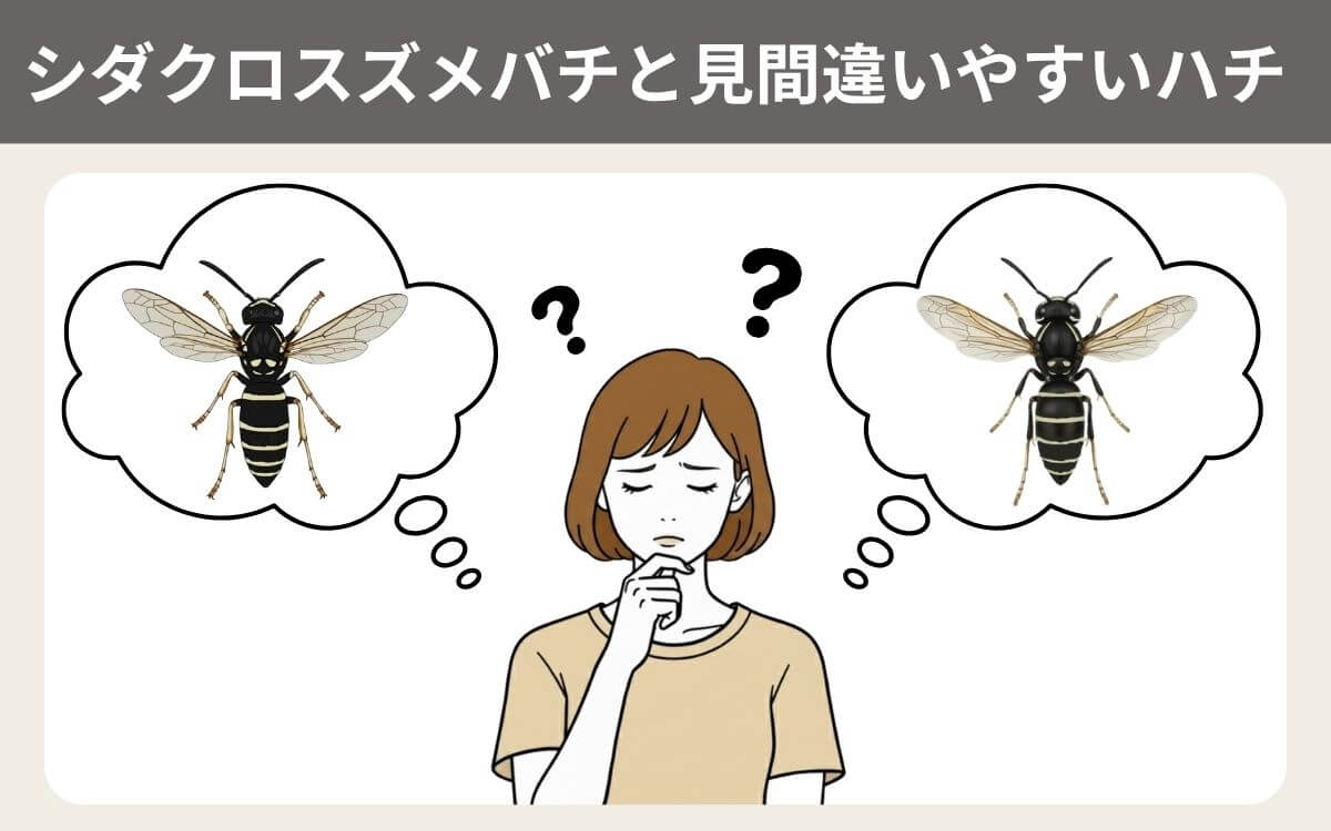 シダクロスズメバチと見間違いやすいハチ