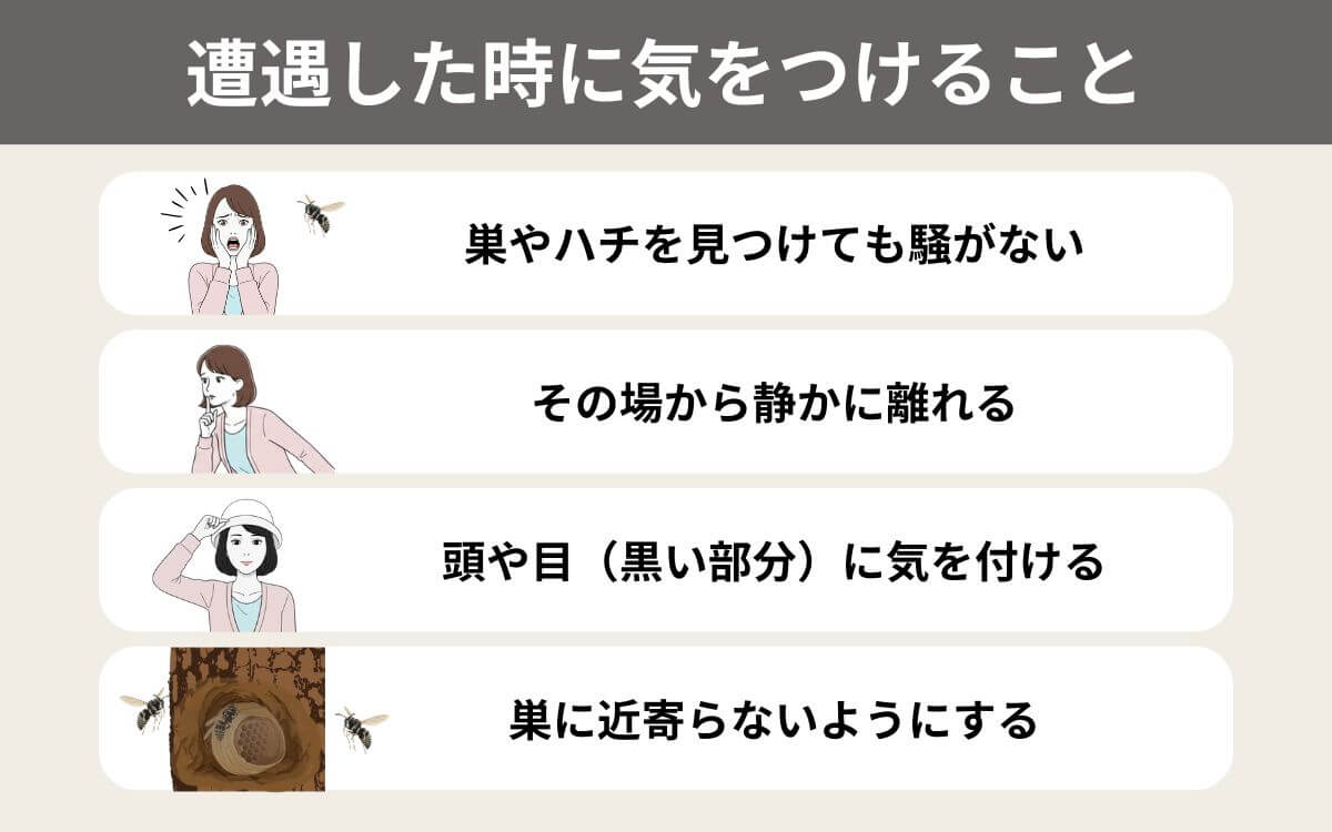 シダクロスズメバチに遭遇したら