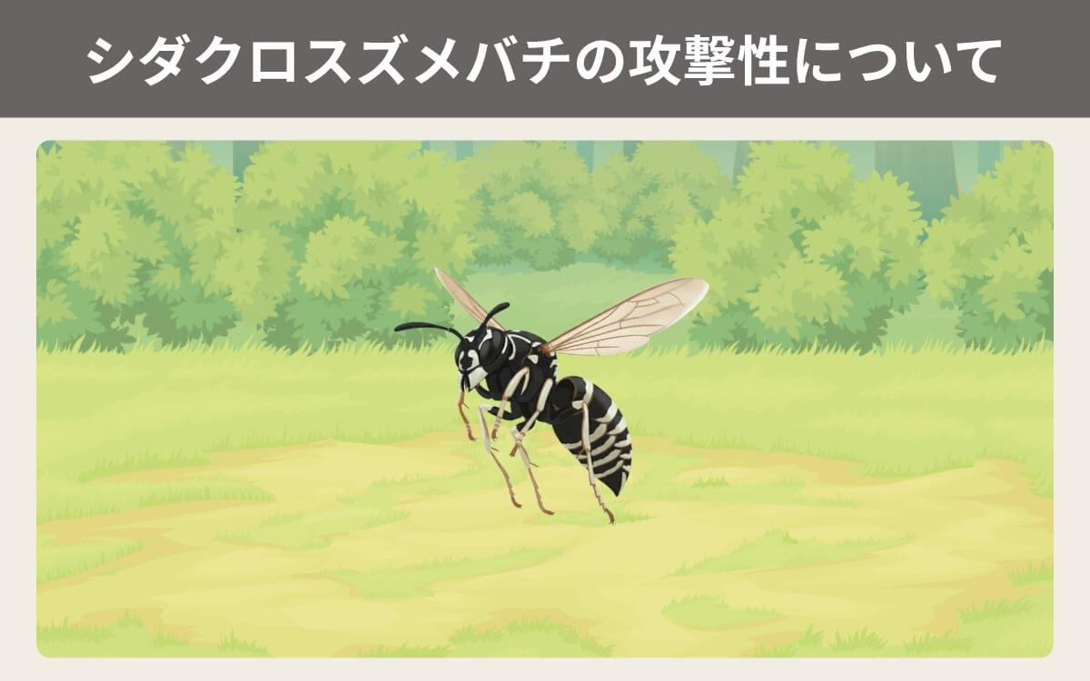シダクロスズメバチの攻撃性について