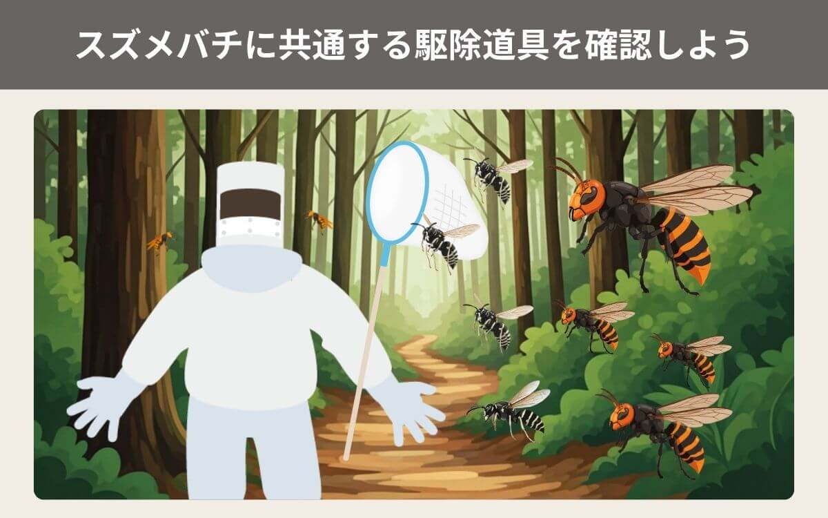 スズメバチに共通する危険性や駆除方法 1