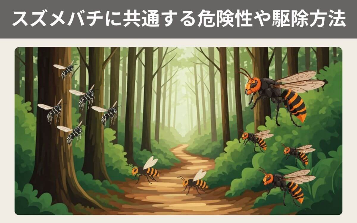 スズメバチに共通する危険性や駆除方法