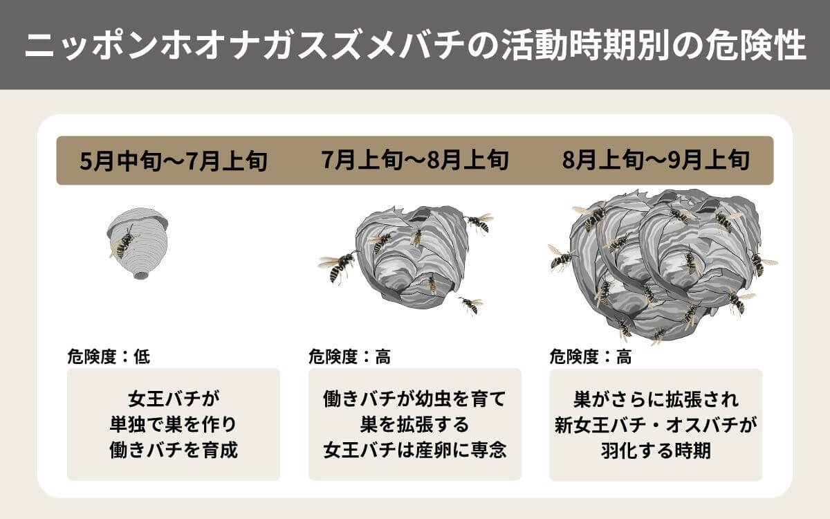 スズメバチの活動時期別の危険性 1