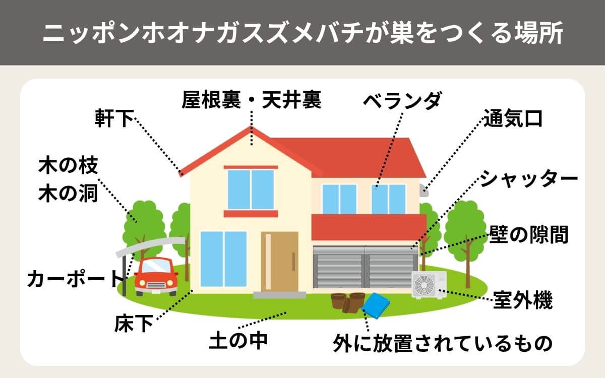ニッポンホオナガスズメバチが巣を作る場所一覧